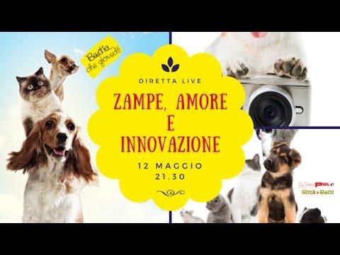 Embedded thumbnail for Innovazione a YouPettv